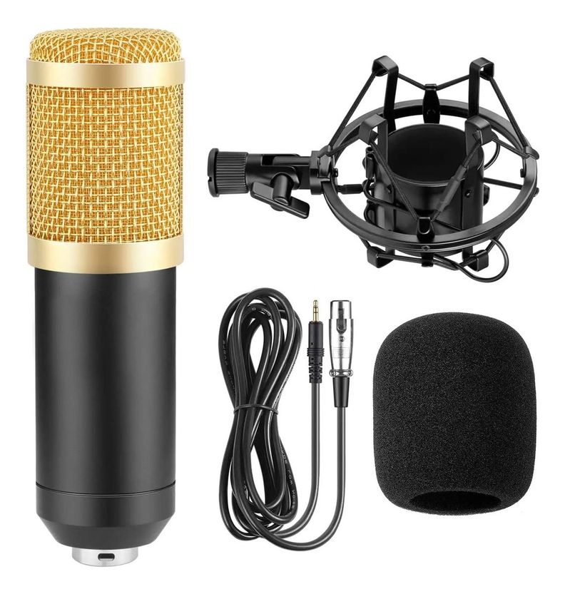 Kit Micrófono Estudio Condensador Profesional Bm800 + Brazo-2