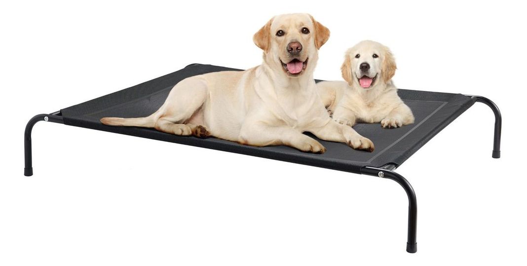 Cama Elevada Altura Para Mascota Perro Gato Talla M - Norplat-0