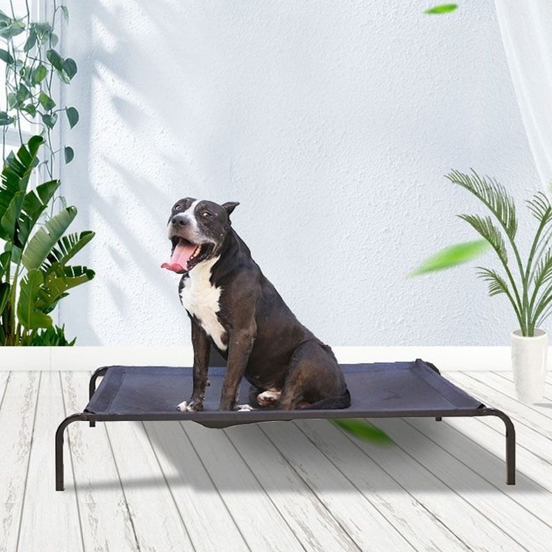 Cama Elevada Altura Para Mascota Perro Gato Talla M - Norplat-1