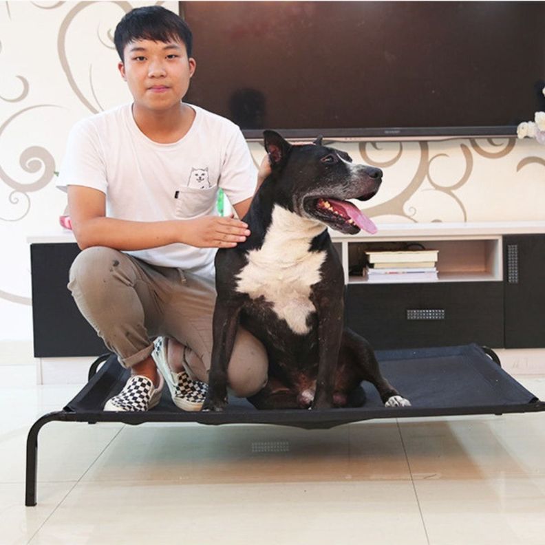 Cama Elevada Altura Para Mascota Perro Gato Talla M - Norplat-7