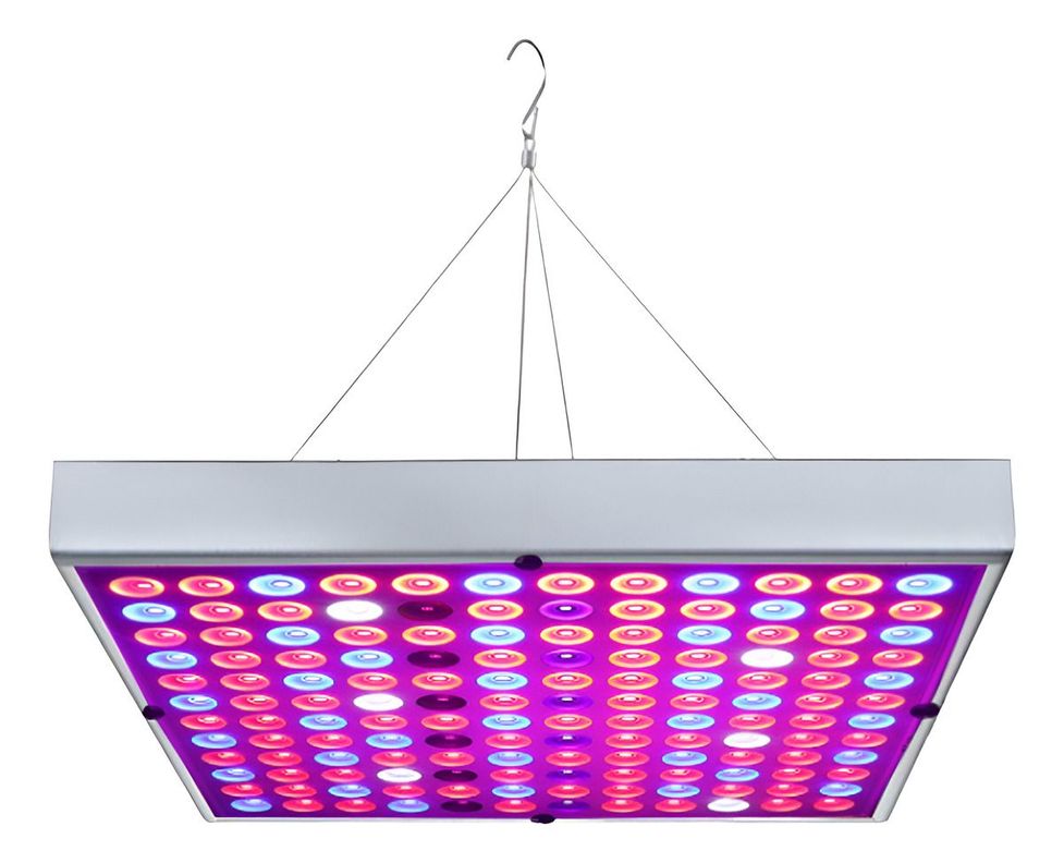 Foco Led Indoor Luz Para Crecimiento Plantas Cultivo Norplat-0