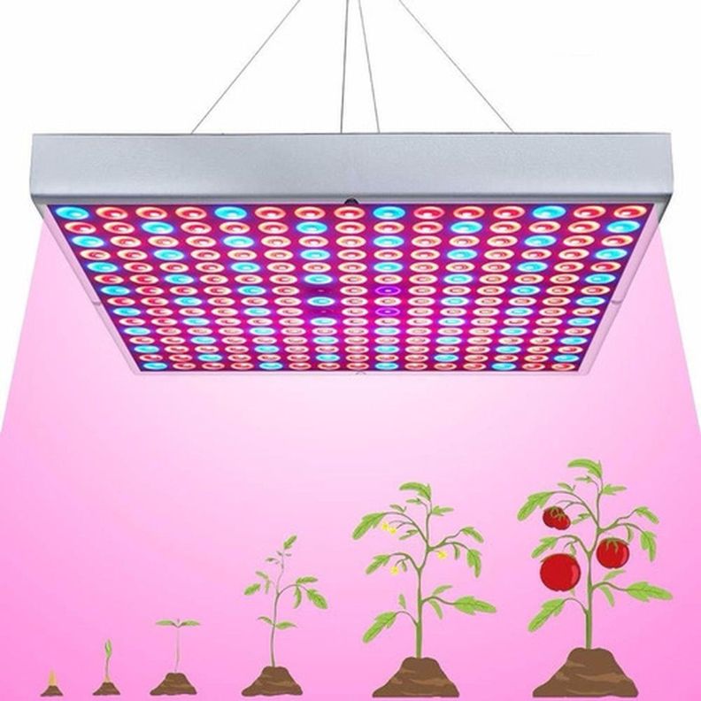 Foco Led Indoor Luz Para Crecimiento Plantas Cultivo Norplat-2