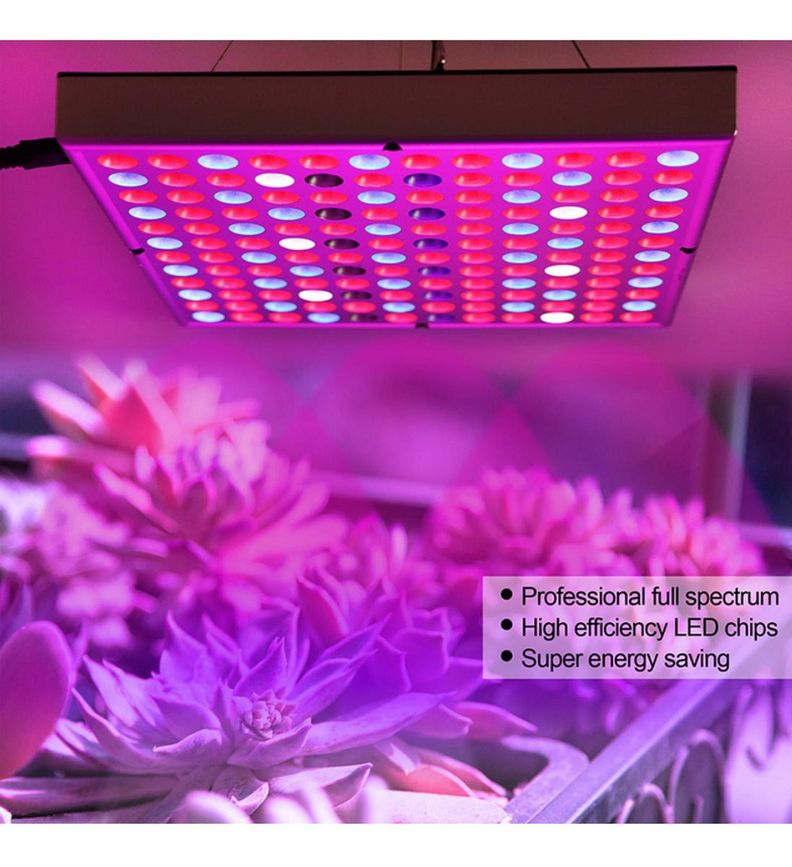 Foco Led Indoor Luz Para Crecimiento Plantas Cultivo Norplat-4