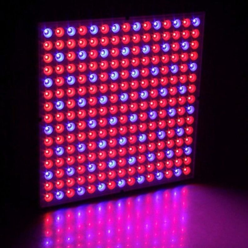 Foco Led Indoor Luz Para Crecimiento Plantas Cultivo Norplat-6