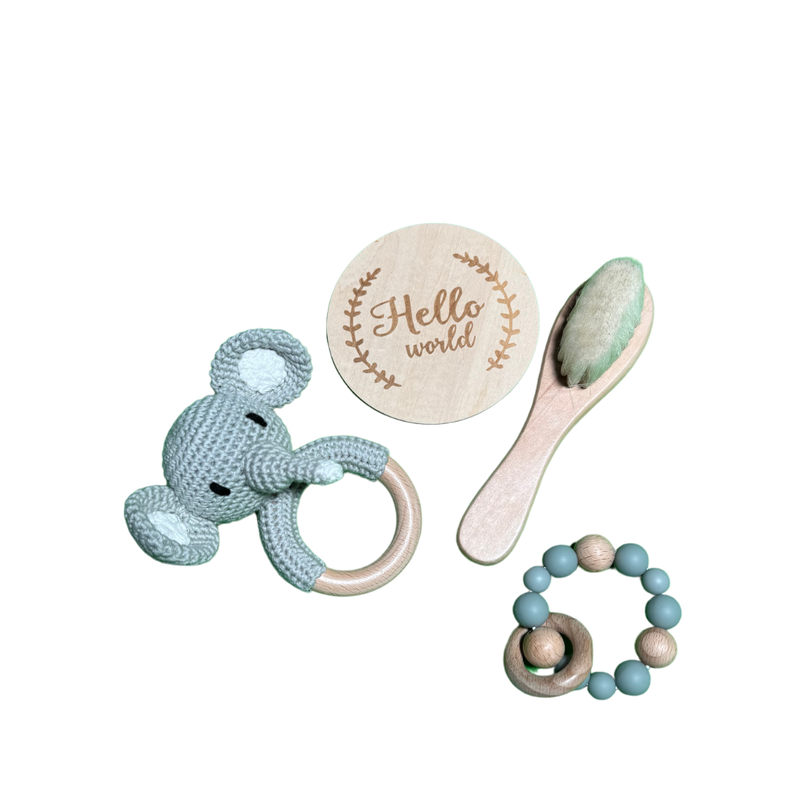 Regalo Baby Shower o Nacimiento Hello World Elefante-1