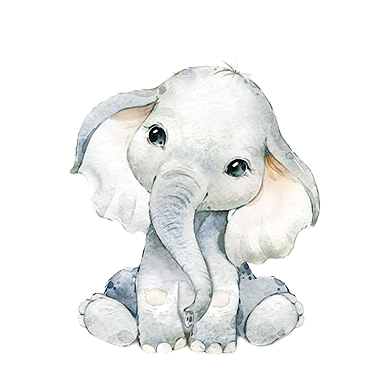 Imagen decorativa Nordica Elefante 30x40 cm-0