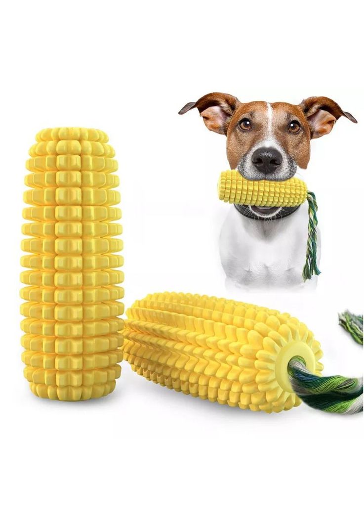 Juguete tipo choclo para perro-1