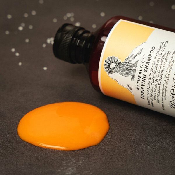 SHAMPOO ANTICASPA PURIFYING DAVINES 250 ML-2