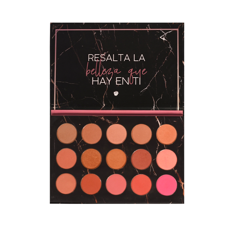 SET PALETA DE RUBORES Y BROCHA PROFESIONAL