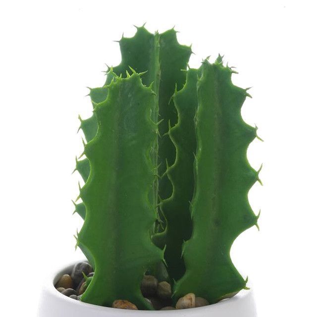 Planta Decor Cactus Suculento 25 Cms Maceta Blanca-2