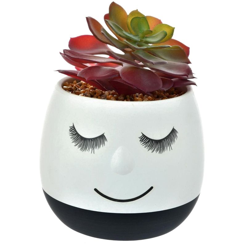 Suculenta Decorativa Maceta Flavia Black-0
