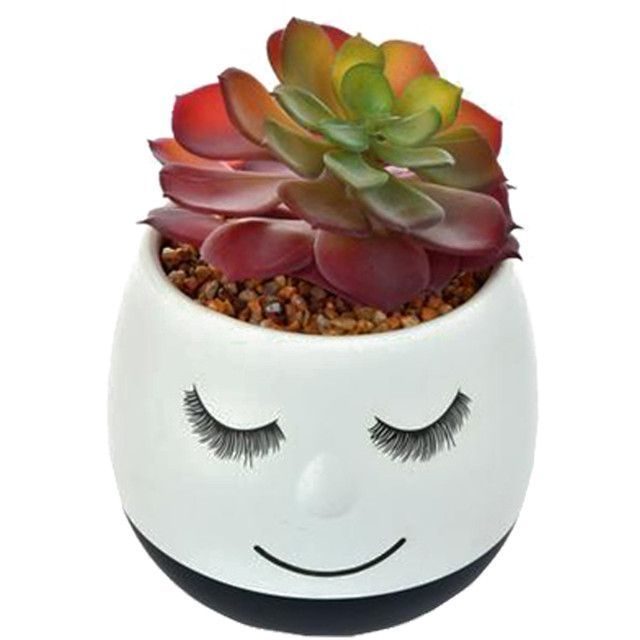 Suculenta Decorativa Maceta Flavia Black-1