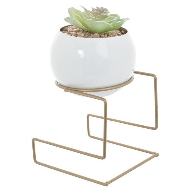 Suculenta Decorativa Bola Pedestal-1