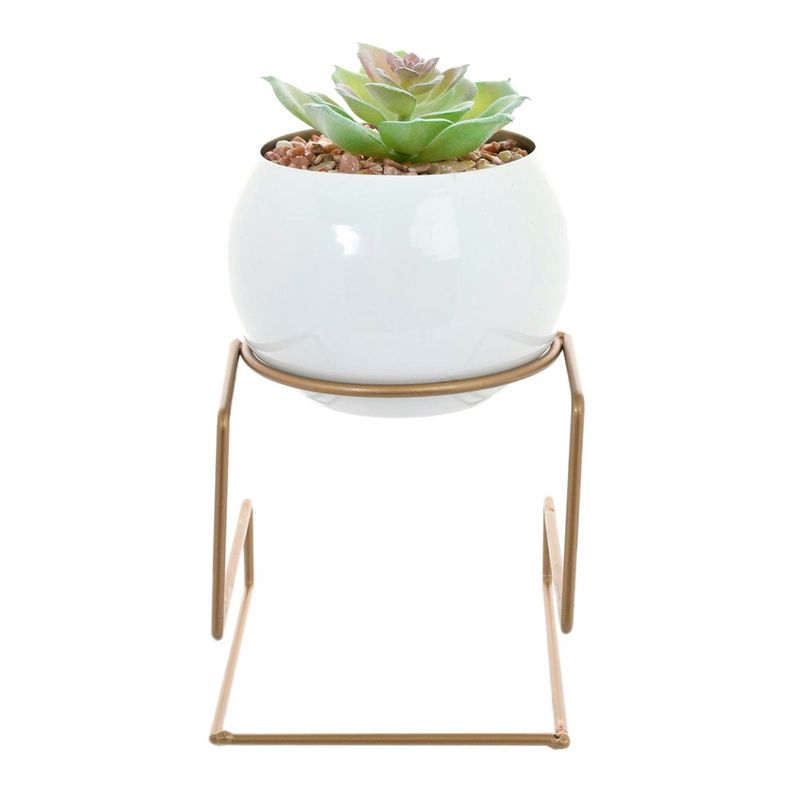 Suculenta Decorativa Bola Pedestal-0