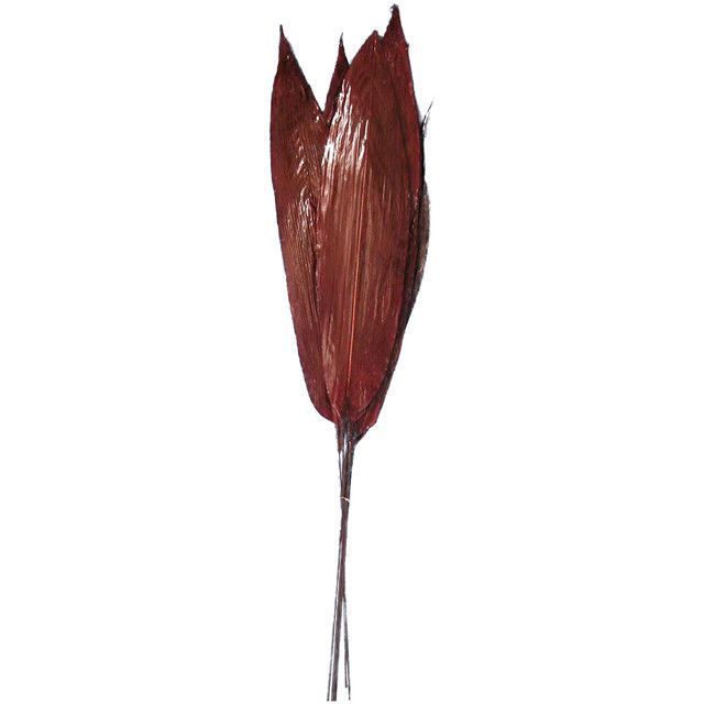 Arreglo Decorativo Ramo Aspidistra Rojo Seco 6 Piezas Burdeo Degradado