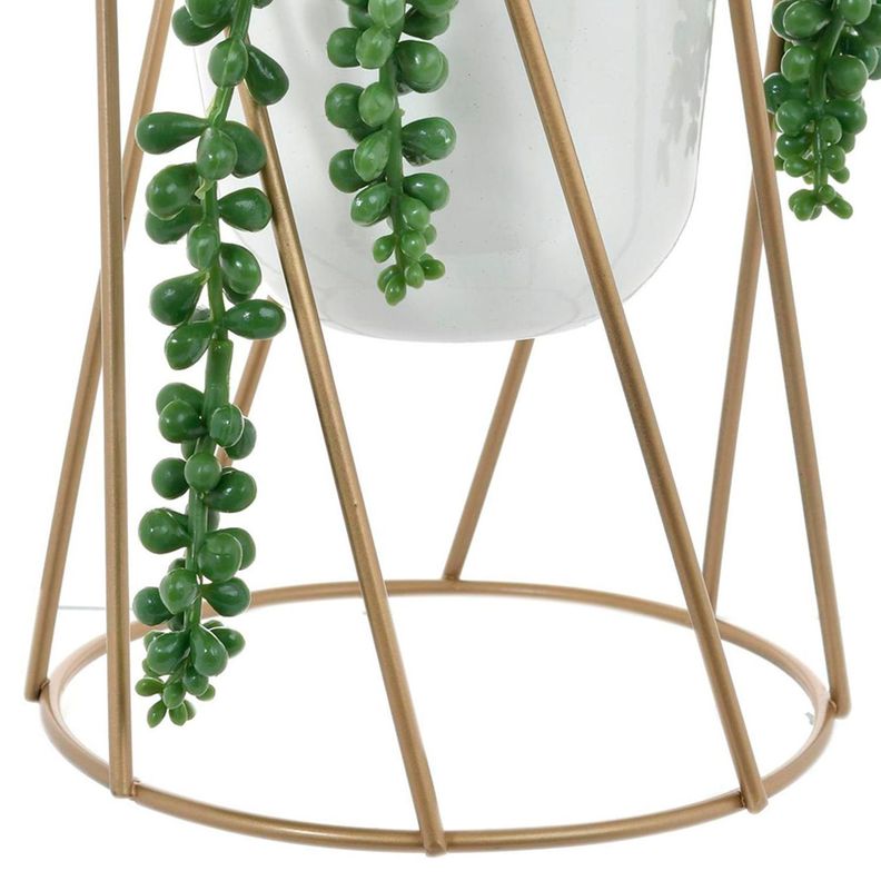 Suculenta Decorativa Senecio-1