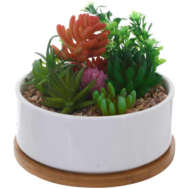 Planta Decorativa Suculentas Multico Maceta Blanca-0