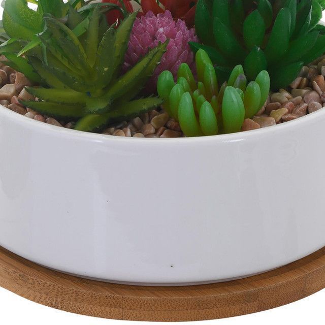 Planta Decorativa Suculentas Multico Maceta Blanca-1