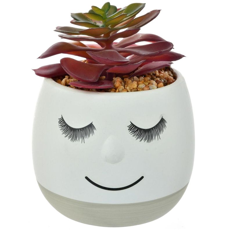 Suculenta Decorativa Maceta Flavia Grey-0