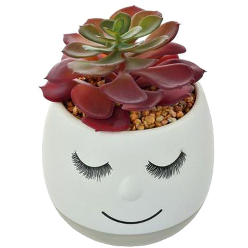 Suculenta Decorativa Maceta Flavia Grey-1