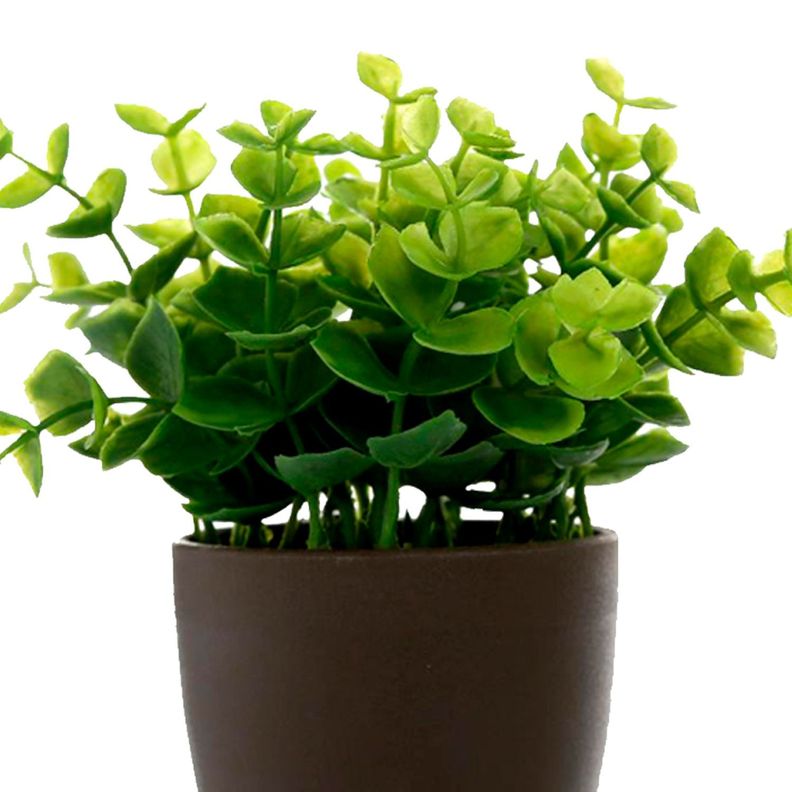 Set de Plantas Decorativa Artificial Maceta Cafe-2