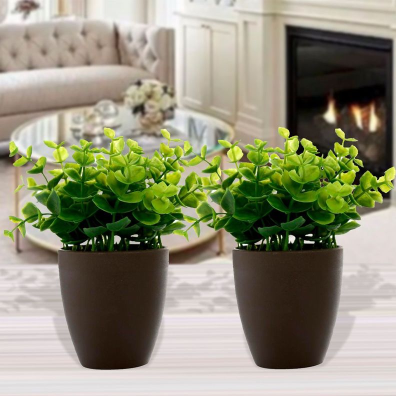 Set de Plantas Decorativa Artificial Maceta Cafe-3