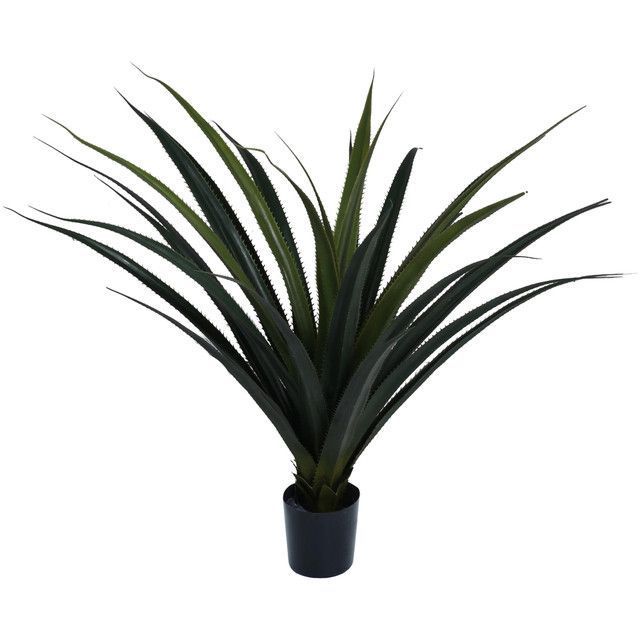 Planta Decorativa Agave Panadus 80 Cms. Verde Degradado