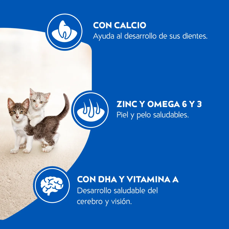 Cat Chow Gatitos 8 kg.-4