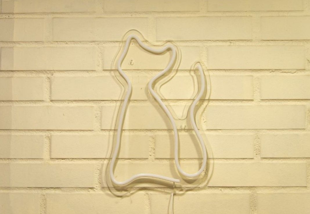 LETRERO ESTILO NEON GATO  (MORADO/USB/30X47CM)-0