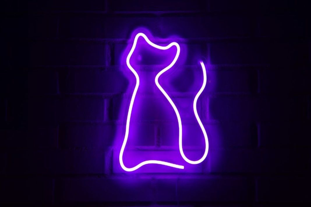 LETRERO ESTILO NEON GATO  (MORADO/USB/30X47CM)-1