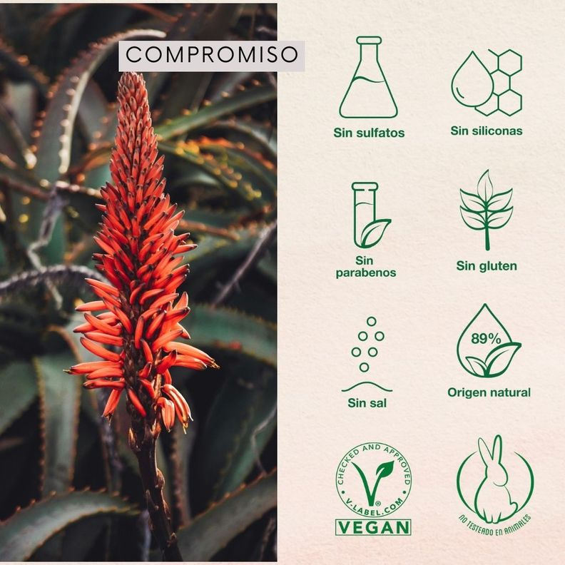 Set Shampoo + Acondicionador Argan Oil Naturaloe-3