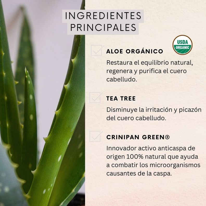 Set Shampoo + Acondicionador Anticaspa Tea Tree Naturaloe-2