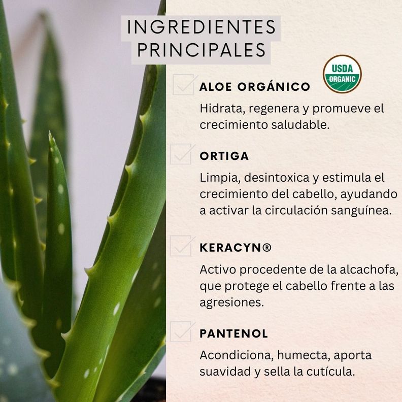 Pack 6 Shampoo Naturaloe Control Caída Normal 350ml-1