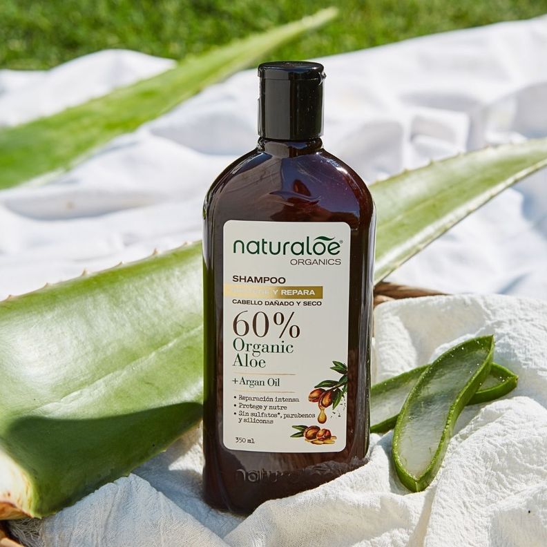 Shampoo Naturaloe Argán Oil 350ml-1