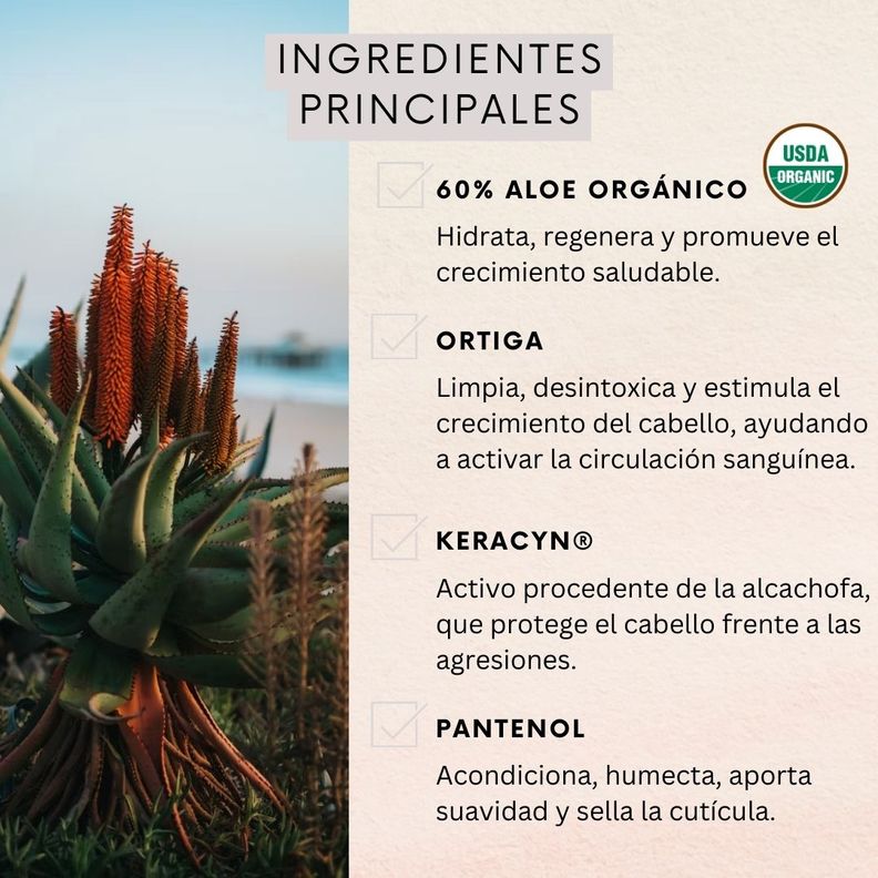 Shampoo Naturaloe Control Caída Normal 350ml-2