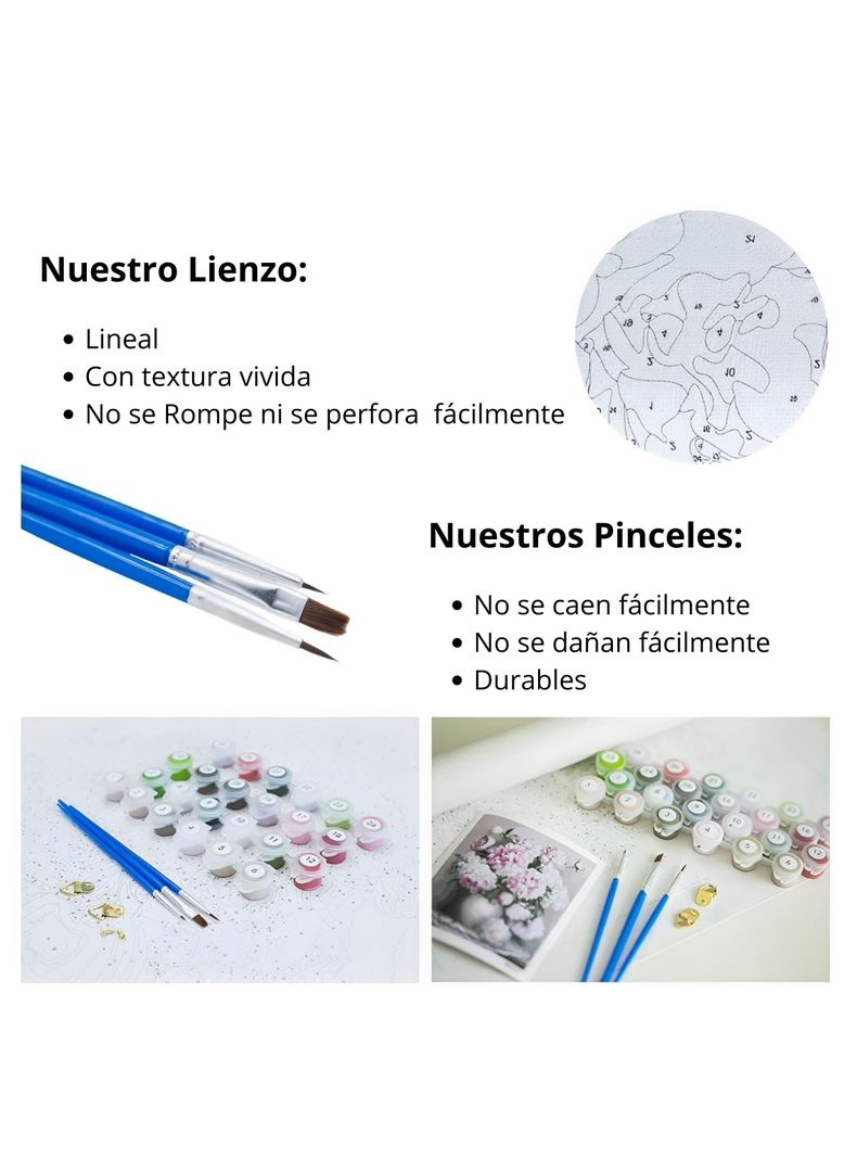 Pintura por Números-5