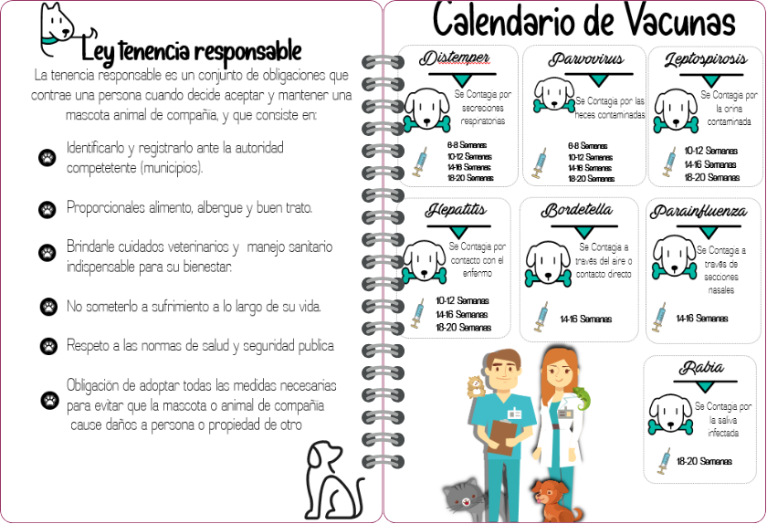 Agenda Veterinaria-3