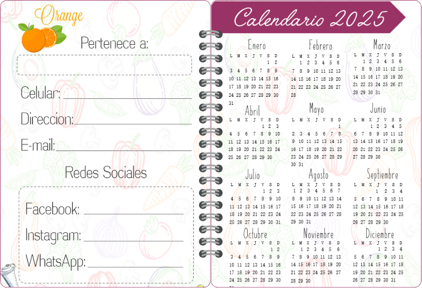 Agenda  Nutricionista -4