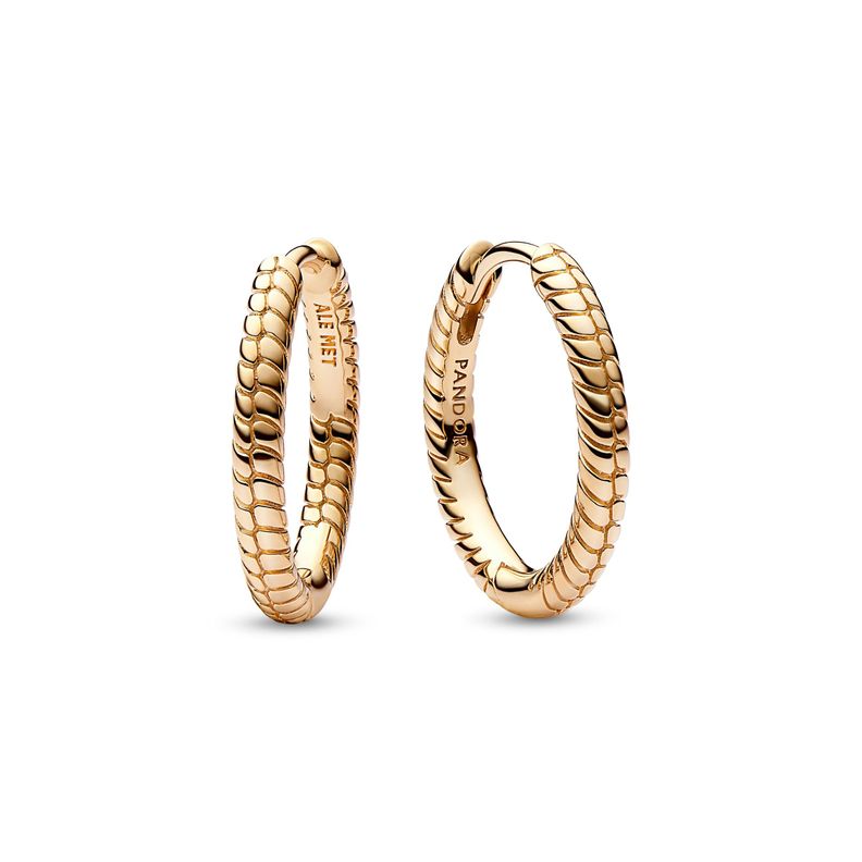 Aretes de aro PANDORA shine PANDORA Moments-0