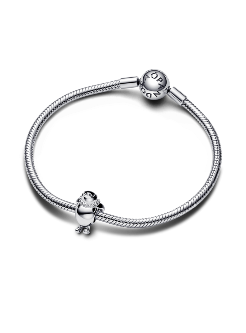 Charm Pingüino Esquiador-1
