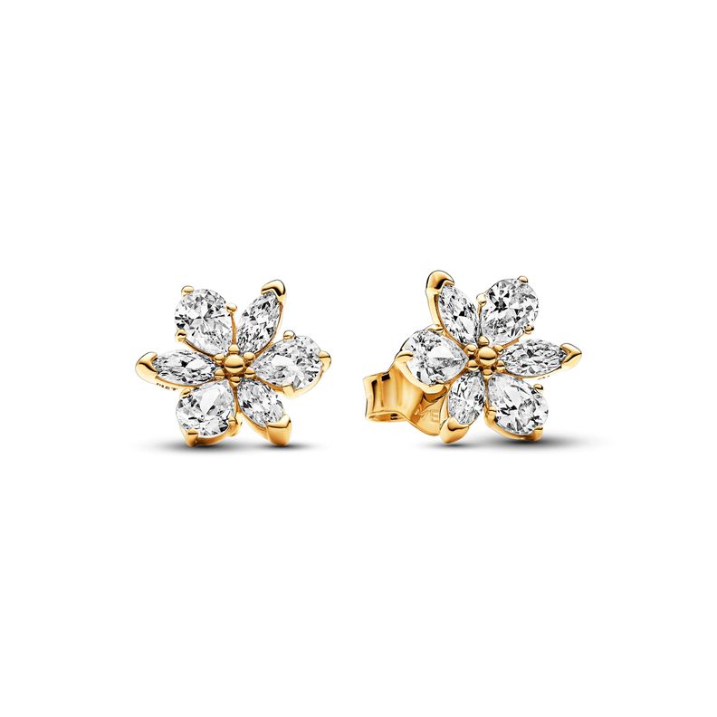Aretes de Botón Herbario Brillante-0