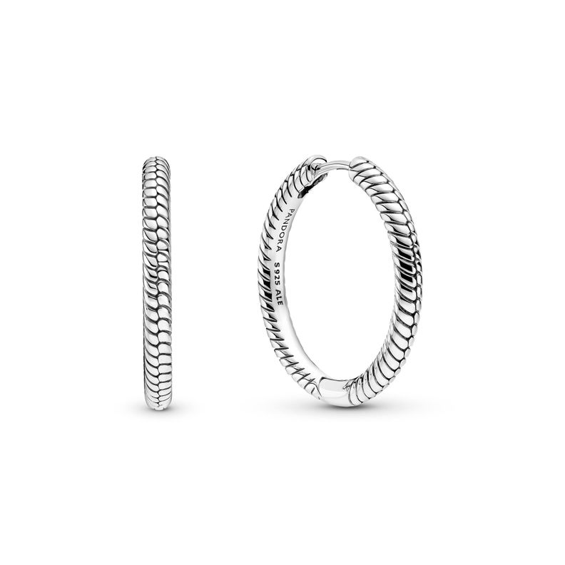 Aretes de Aro Para Charms Moments en Plata-0