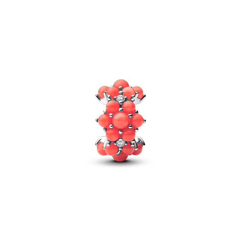 Charm Oceano de Color Coral Plata