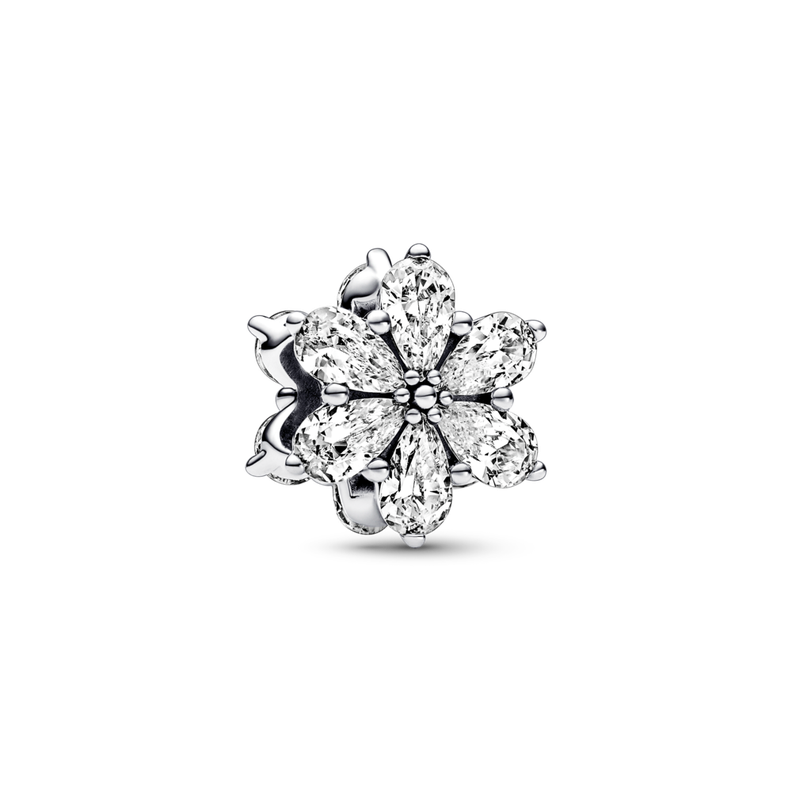 Charm en Plata Abalorio Racimo de Herbario Circonia Cubica Clara-0
