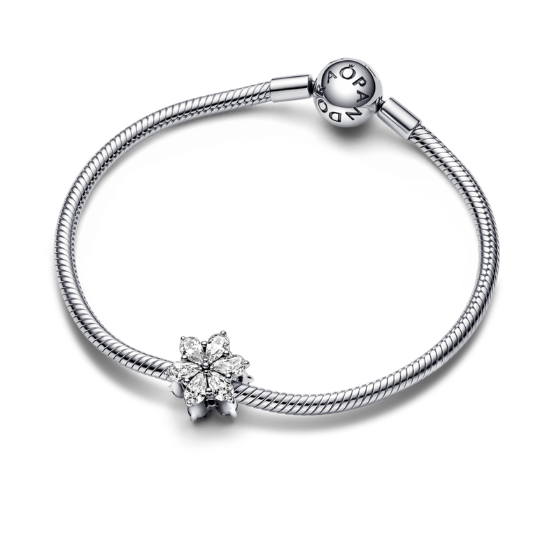 Charm en Plata Abalorio Racimo de Herbario Circonia Cubica Clara-1