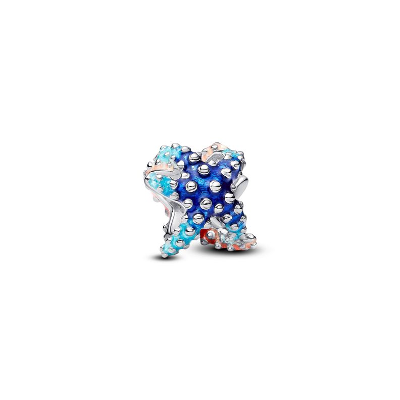Mini Charm Estrella de Mar Colorida Plata