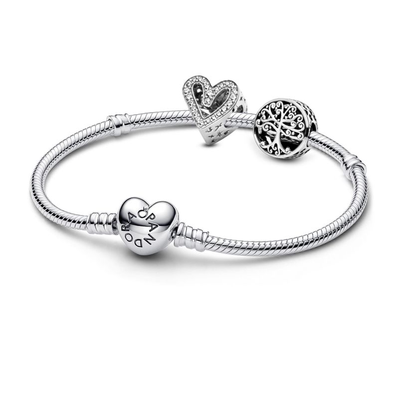 Gift Set Pulsera con Dije Corazon Brillante y Arbol Raices Familiar-0