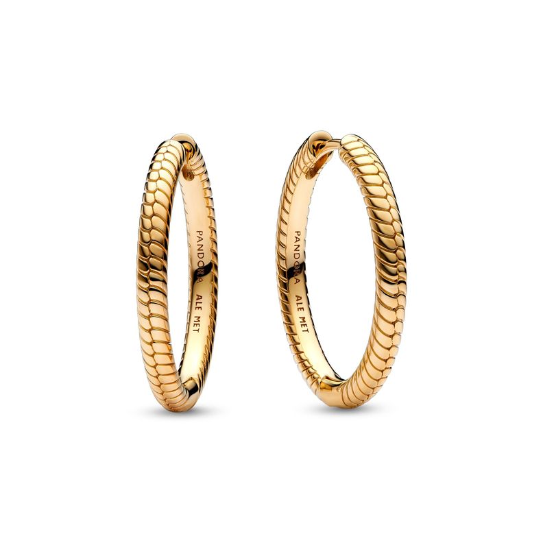 Arete de Aro Charm en Shine Pandora Moment  -0