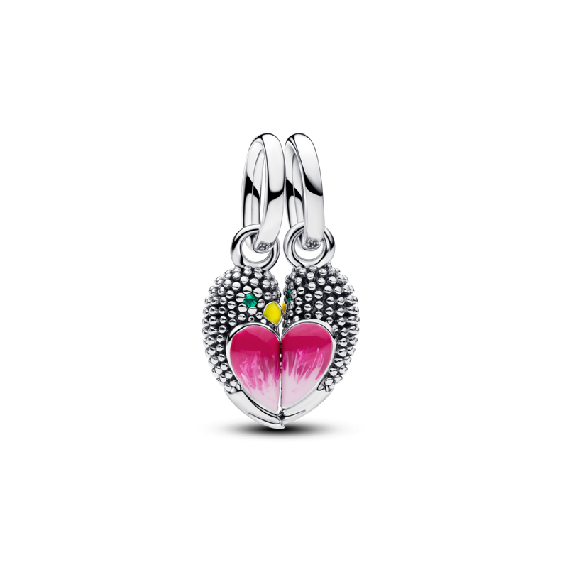 Charm Colgante Divisible Pajaritos del Amor Plata