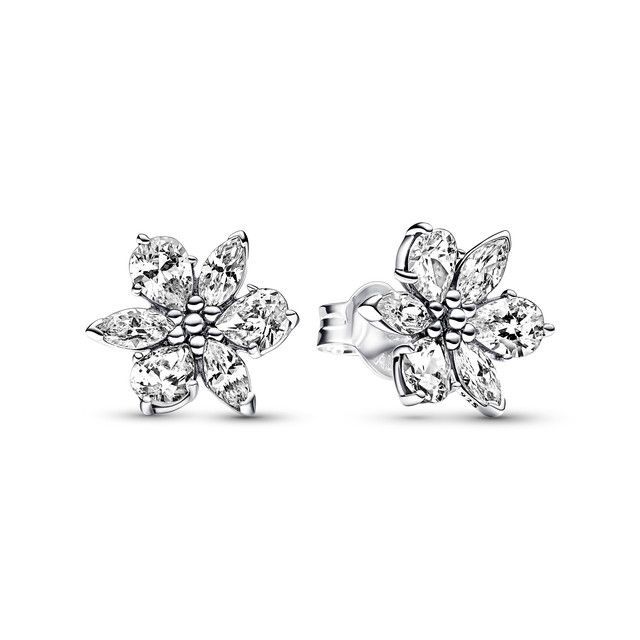 Aretes de Tuerca en Plata Brillante Racimo Herbario -0